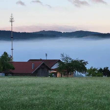 Auhirsch * Böbrach