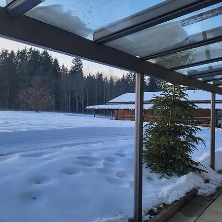 Auhirsch * Böbrach