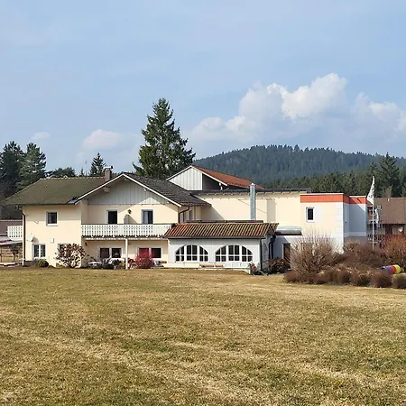 Auhirsch * Böbrach