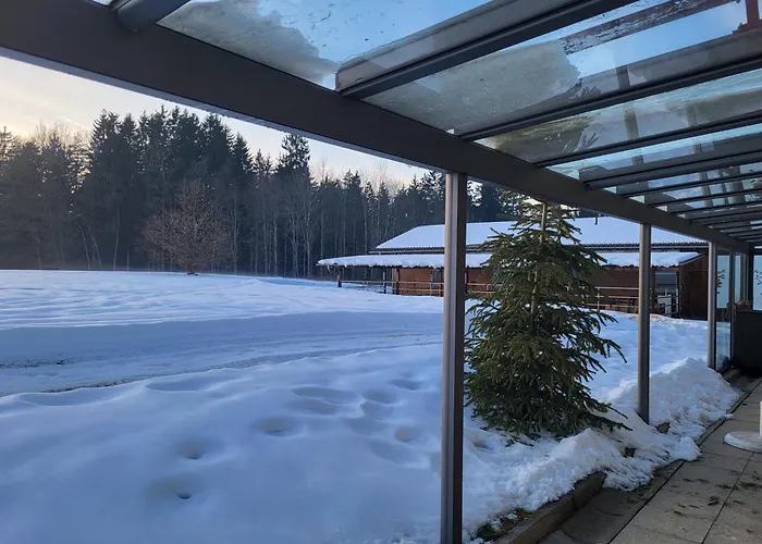 Auhirsch * Böbrach
